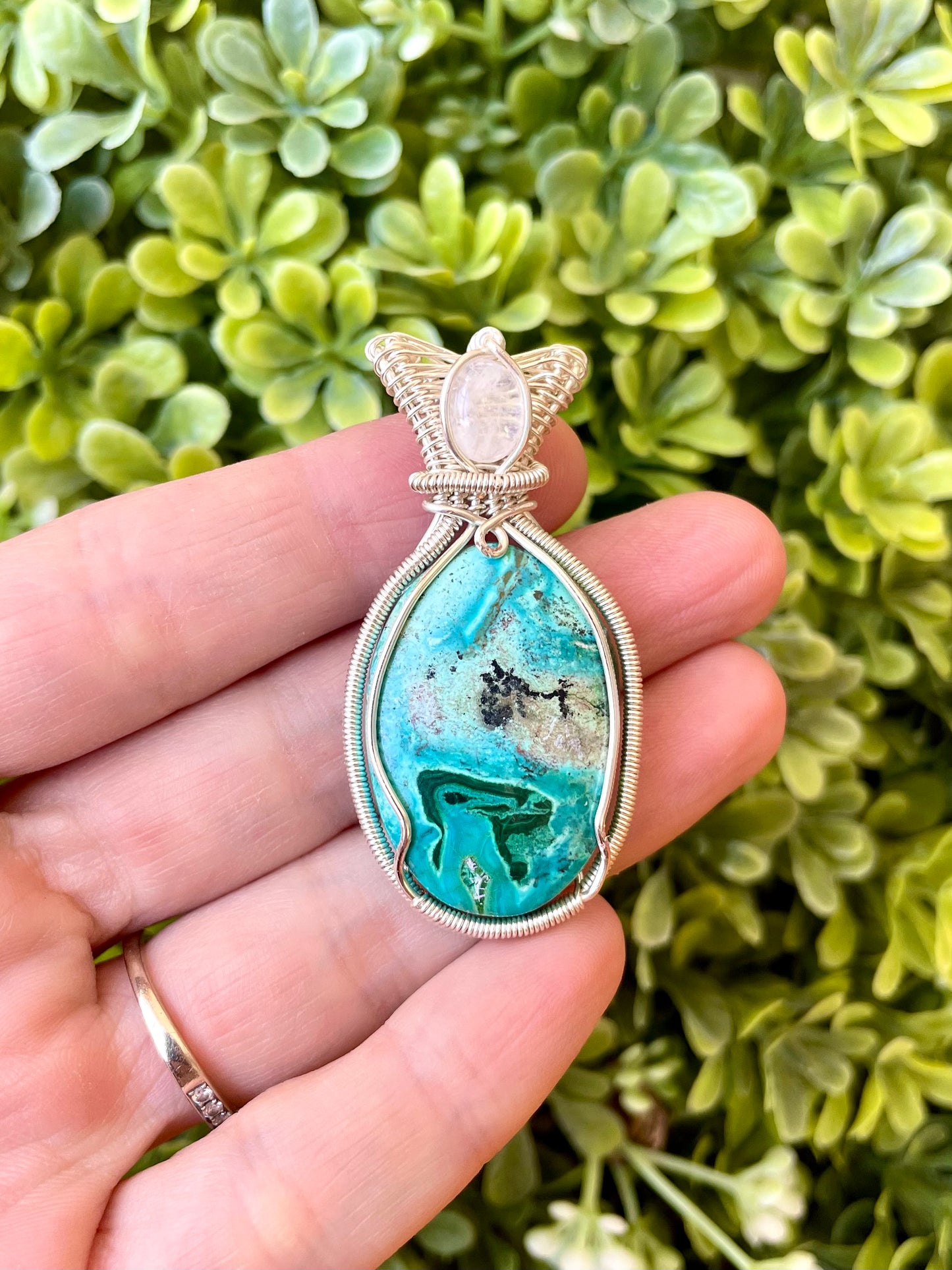 Malacholla & Moonstone Pendant